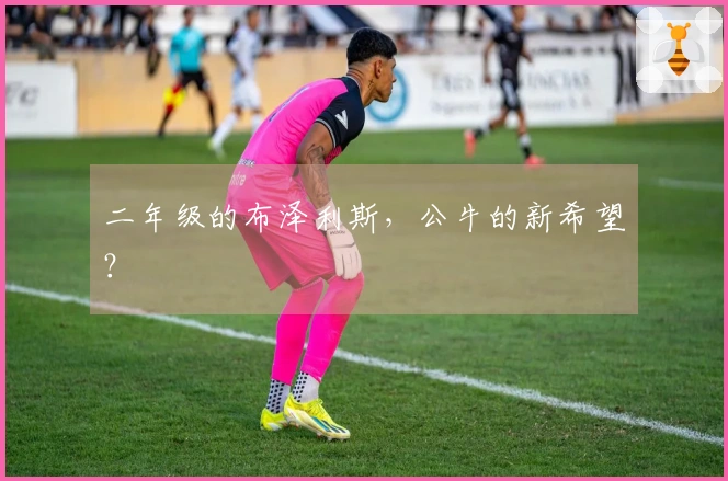 二年级的布泽利斯，公牛的新希望？