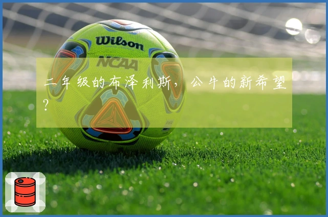 二年级的布泽利斯，公牛的新希望？