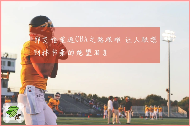 郭艾伦重返CBA之路艰难 让人联想到林书豪的绝望泪言